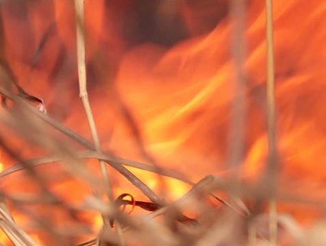 Под Калугой потушили лесной пожар