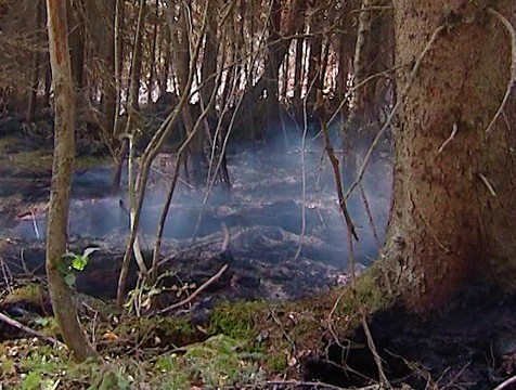 Три лесных пожара потушено за выходные