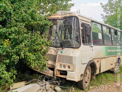 В Товаркове автобус с пассажирами врезался в столб