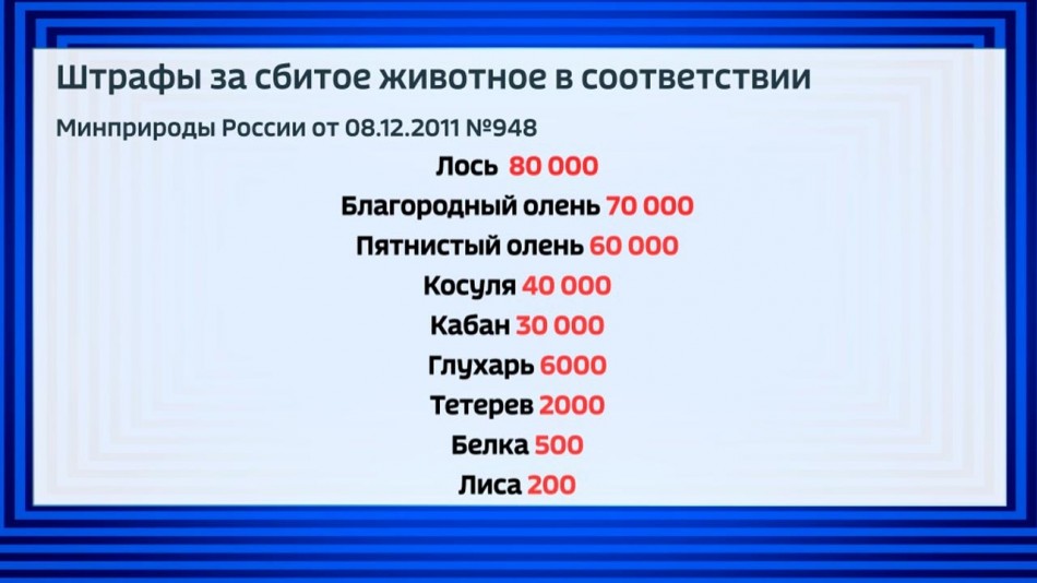 штрафы-за-животн-0803.jpg