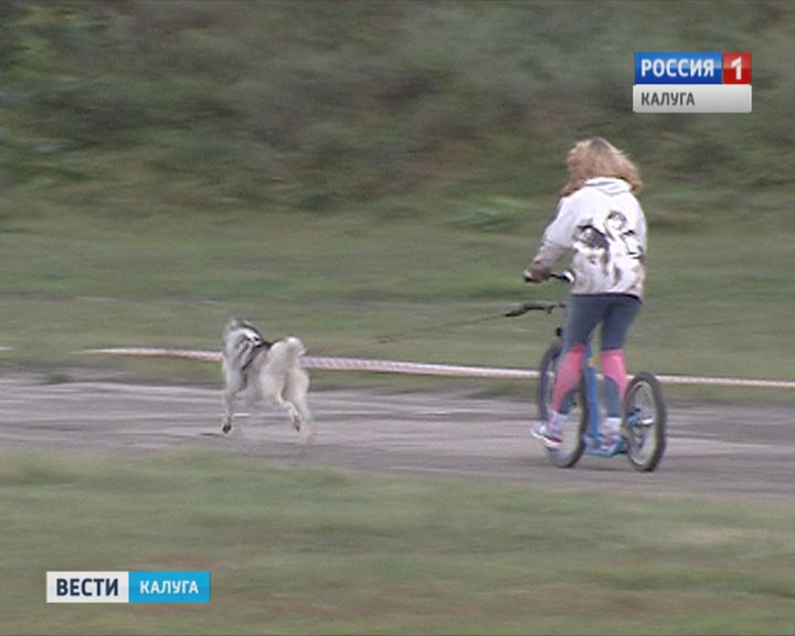 Праздник-собак1-0926.jpg