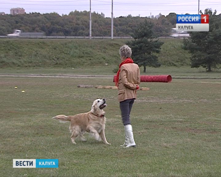 Праздник-собак2-0926.jpg