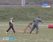 Праздник-собак3-0926.jpg