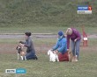 Праздник-собак4-0926.jpg