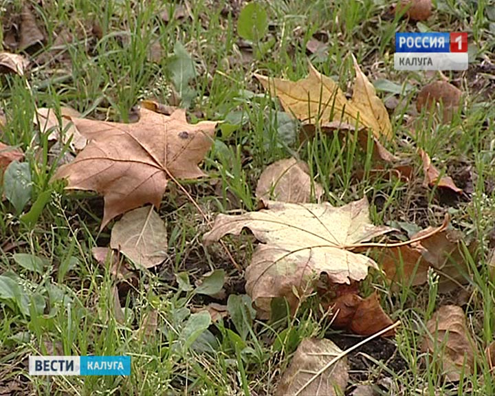 Погода-осень-листья0926.jpg