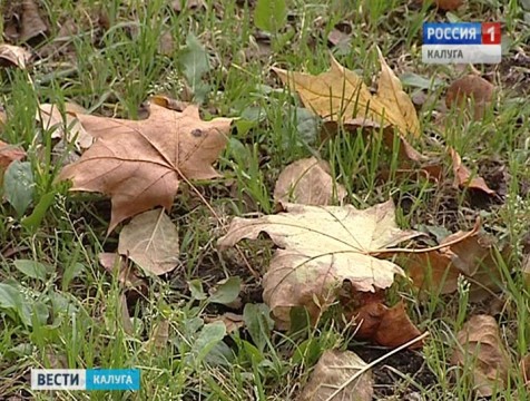 Сухая погода в регионе сменится дождями