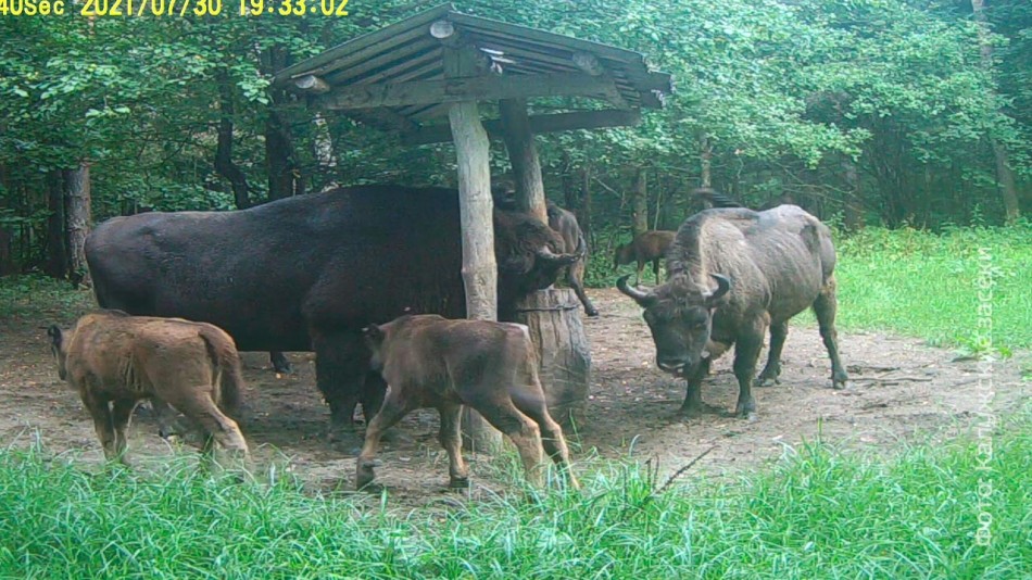 зубрята-08-04.jpg