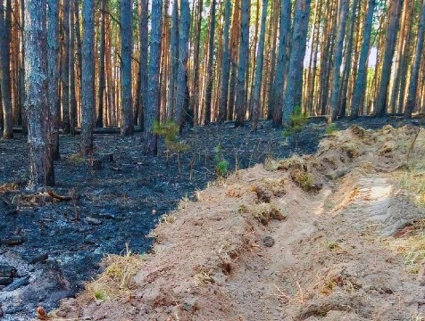 Особый режим пожарной опасности введен в 6 районах области