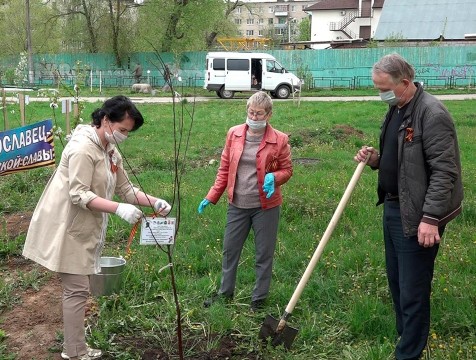 Более 140 тысяч деревьев высажено в регионе в рамках акции «Сад памяти»