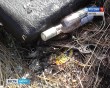 Трактор-упал2-0928.jpg