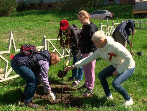 Осенью на улице Кубяка планируют разбить вишневый сад