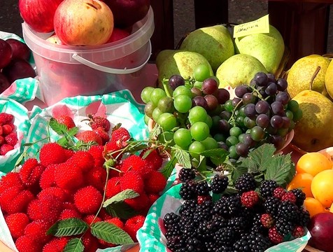Дары садов и огородов представят на городской выставке
