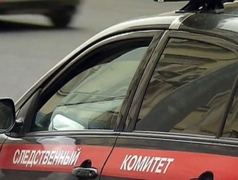 Убитая приёмной матерью девочка попала в семью по ошибке