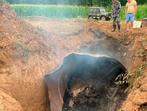 46 бесхозных скотомогильников намерены ликвидировать в регионе