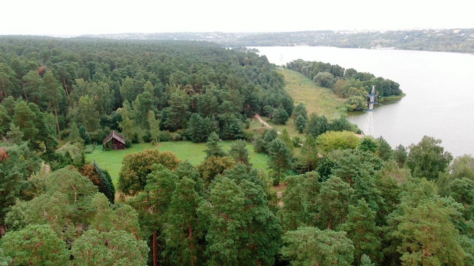Бор-0826.jpg