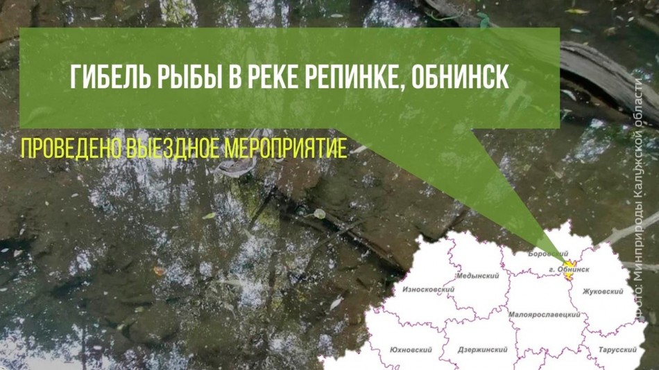 рыба-0901.jpg