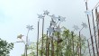 скульптуры-фестиваль1-0904.jpg