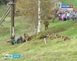 Ильинские-рубежи2-1003.jpg