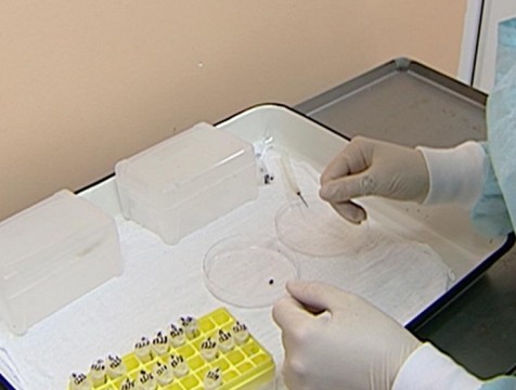 83 человека за неделю обратились к медикам по поводу клещей