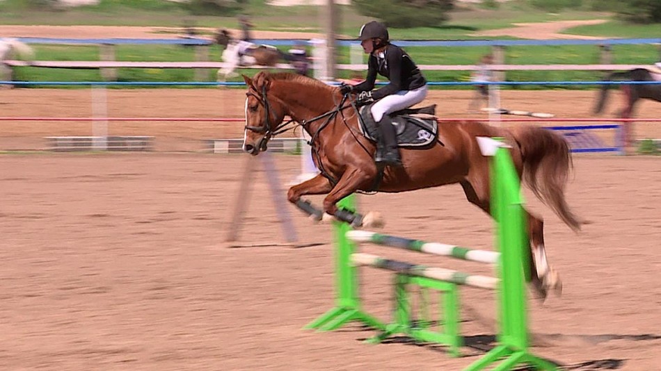 Конный-спорт3-0524.jpg
