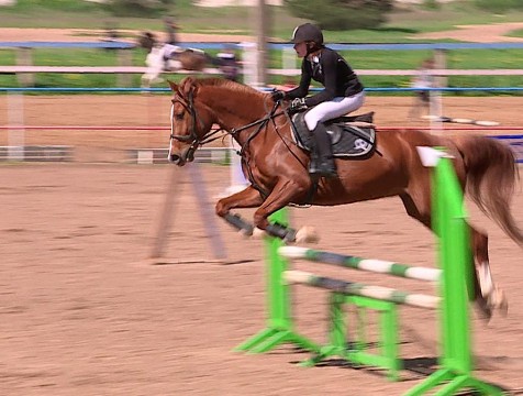 Калужанка заняла восьмое место на Чемпионате Европы по выездке в Германии