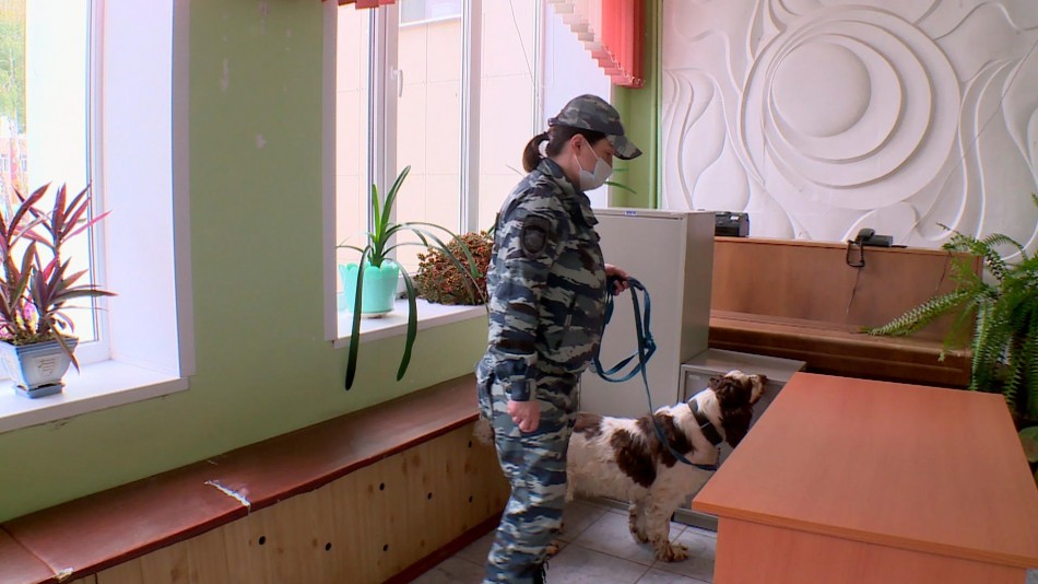 проверка-тиков-0916.jpg