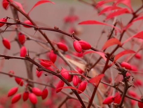 Нынешний сентябрь может оказаться самым холодным с начала 21 века