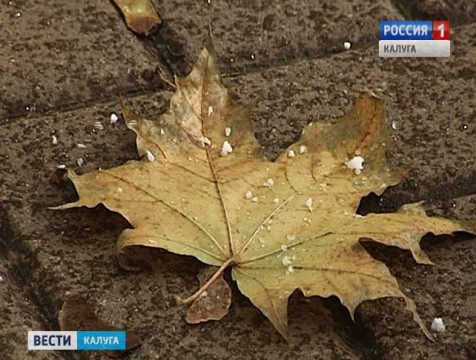 Первые заморозки ожидаются в регионе