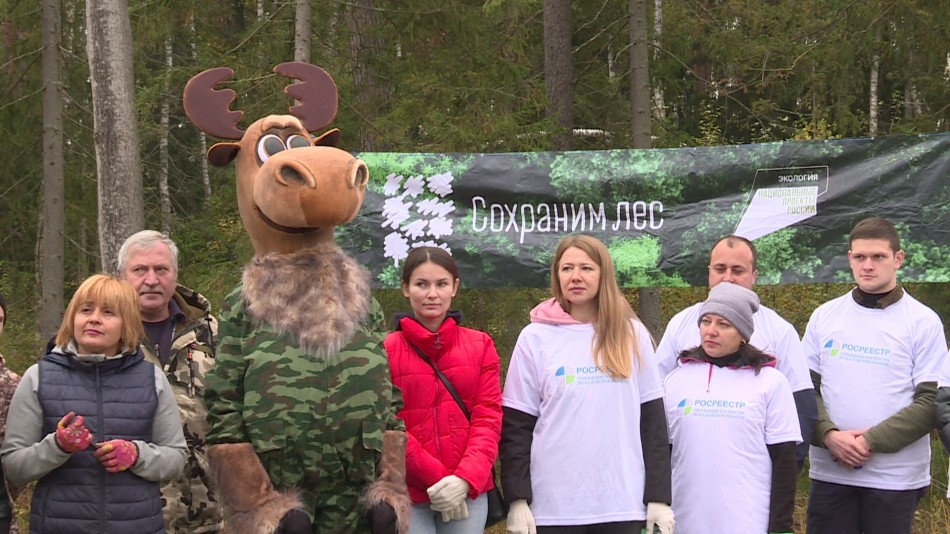 сохраним-лес-посадка-сивково-1001.jpg