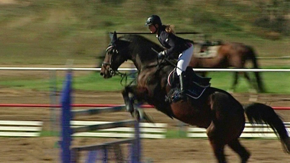 Конный-спорт0925.jpg