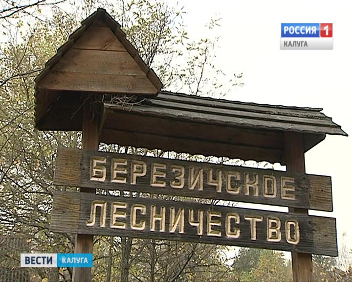 Березическое-лесничество1013.jpg