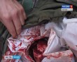 Браконьеры1-1013.jpg