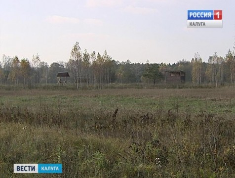 Первый случай браконьерства зафиксирован в Березичском лесничестве