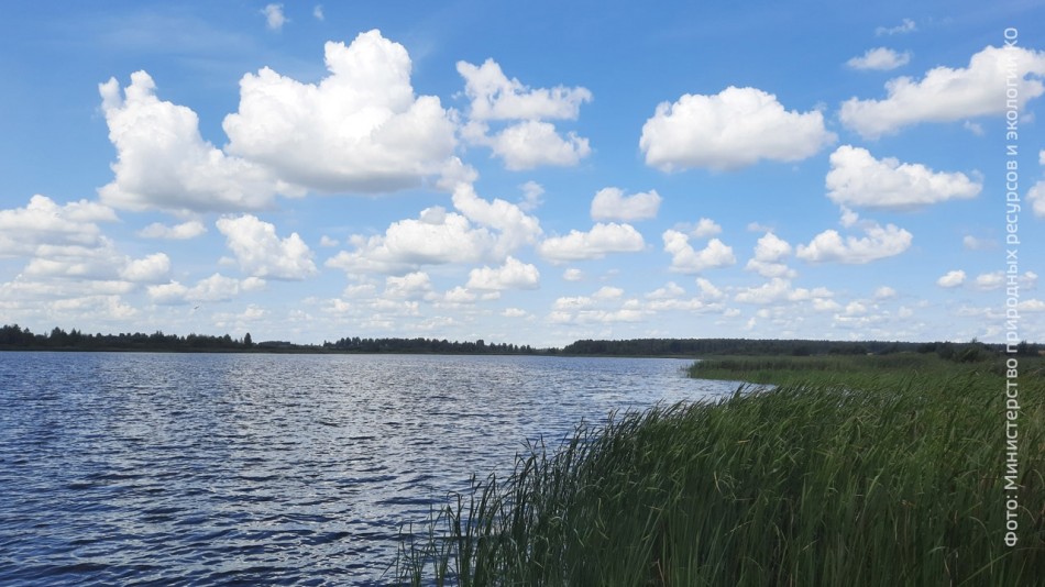 пеневичское-водохранилище-1013.jpg