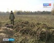 Подкормка2-1013.jpg