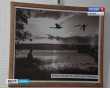 Выставка-Головкова5-1018.jpg