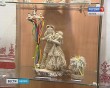 Льняные-смотрины1020.jpg