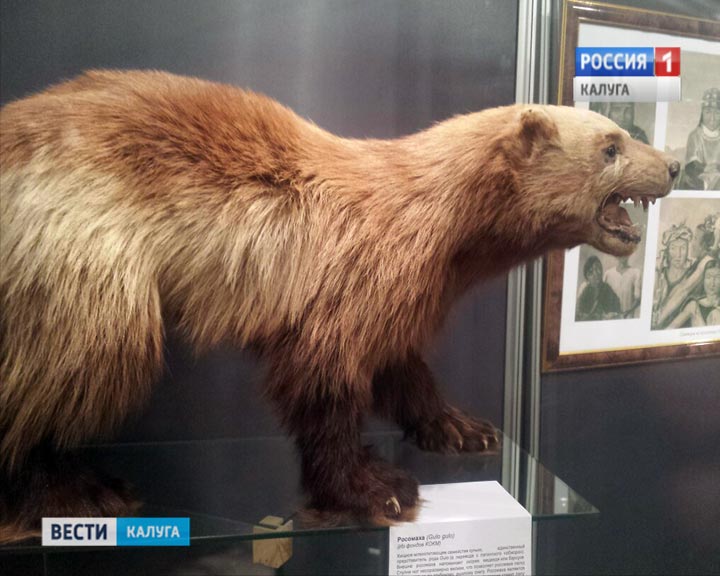 Русская-Америка2-1013.jpg