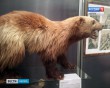 Русская-Америка2-1013.jpg