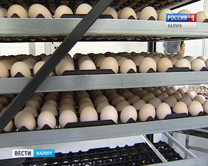 Инкубатор1014.jpg