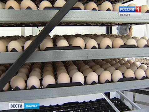 На калужской птицефабрике запустили новый инкубатор