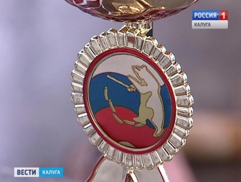 Кубок города по городошному спорту остался в Калуге