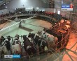 Ферма0219.jpg