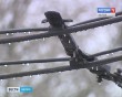 Обледенение1-1111.jpg