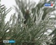 Наледь2-1111.jpg