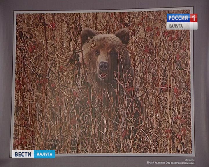 фотовыставка-Камчатка6-1113.jpg
