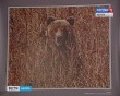 фотовыставка-Камчатка6-1113.jpg
