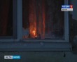 Света-нет1114.jpg