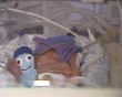 vlcsnap-2016-11-17-16h42m27s194.jpg