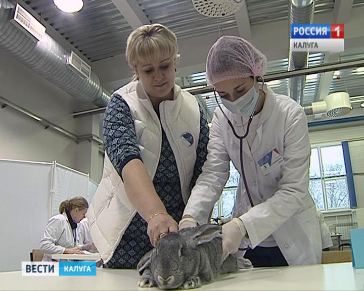 Молодые-профессионалы1118.jpg